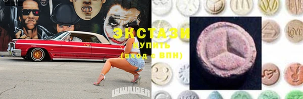 стаф Новозыбков