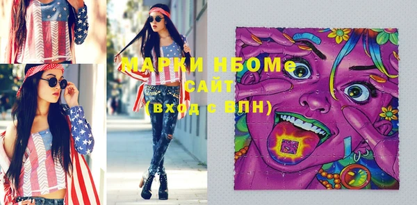стаф Новозыбков