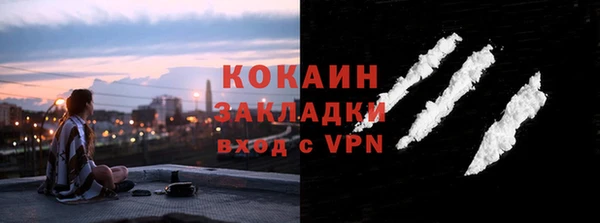 стаф Новозыбков