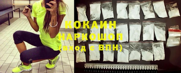стаф Новозыбков
