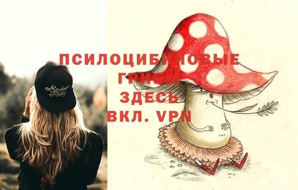 стаф Новозыбков
