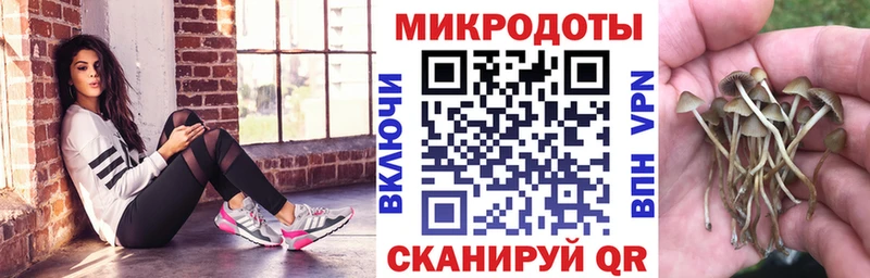 мориарти формула  blacksprut ТОР  Псилоцибиновые грибы мицелий  Нижневартовск  наркота 