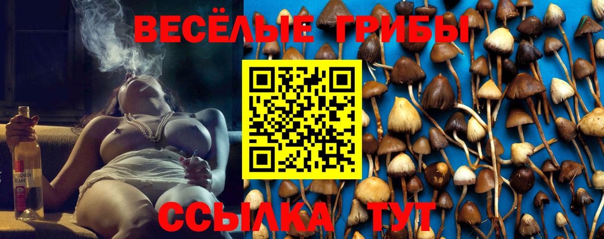 Галлюциногенные грибы ЛСД Нижневартовск